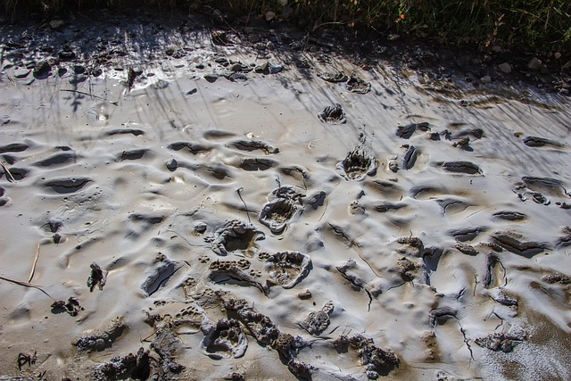 g78bc068cfb78d614f9a0cb8b676363d3a53e3a2942f37819df3da38bd658302ae7221009bcc635469df5dfe993c2ee9d4229afc5d8733466776b8007c17f2a4e 640