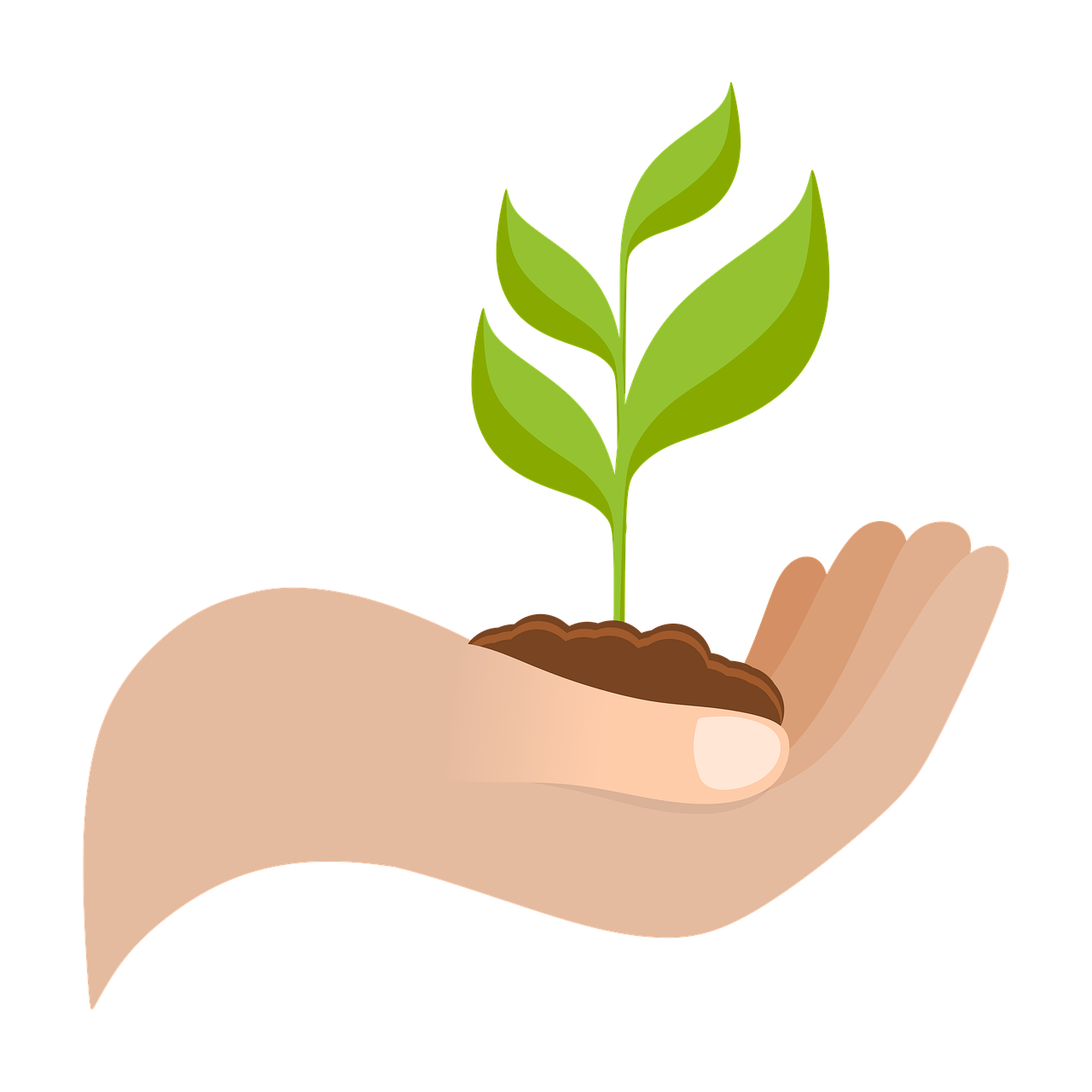 d&eacute;couvrez des strat&eacute;gies innovantes pour une croissance durable, alliant performance &eacute;conomique et respect de l'environnement.