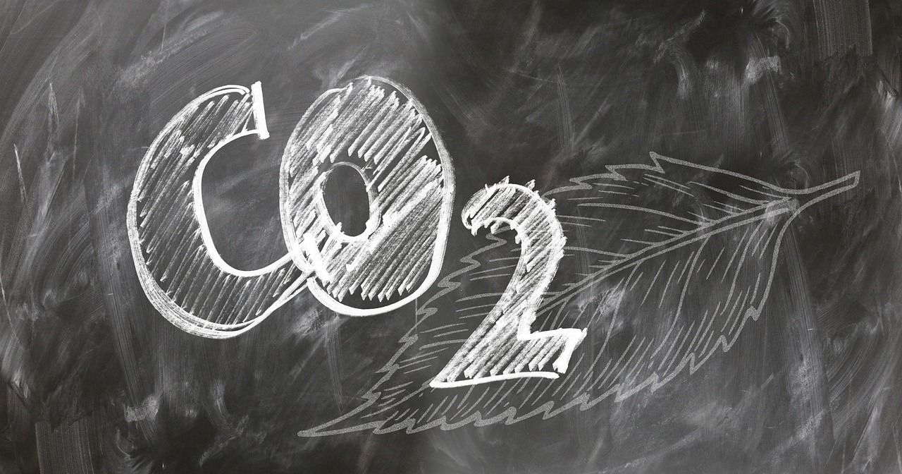 découvrez ce qu'est l'empreinte carbone, comment la mesurer et des conseils pratiques pour la réduire afin de protéger notre planète.
