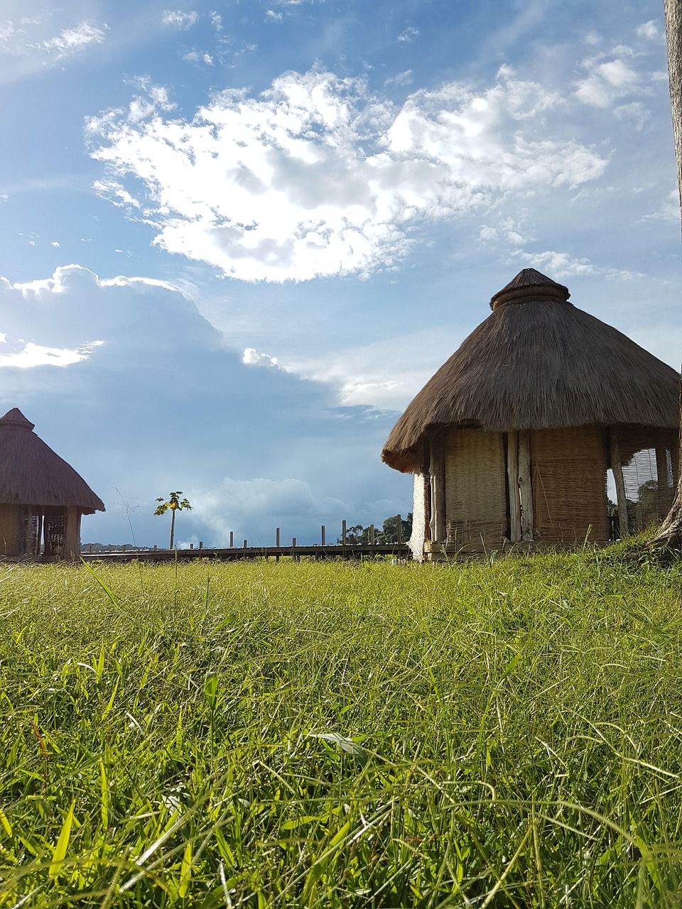 Services hut, shelter, nature, africa, cameroon, sustainability, traditional, cameroon, cameroon, cameroon, cameroon, cameroon
