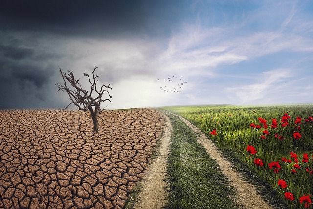 Changements climatiques : l’impact sur la santé publique en 2024