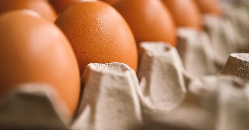 Quelles sont les solutions pour réduire le gaspillage alimentaire ?