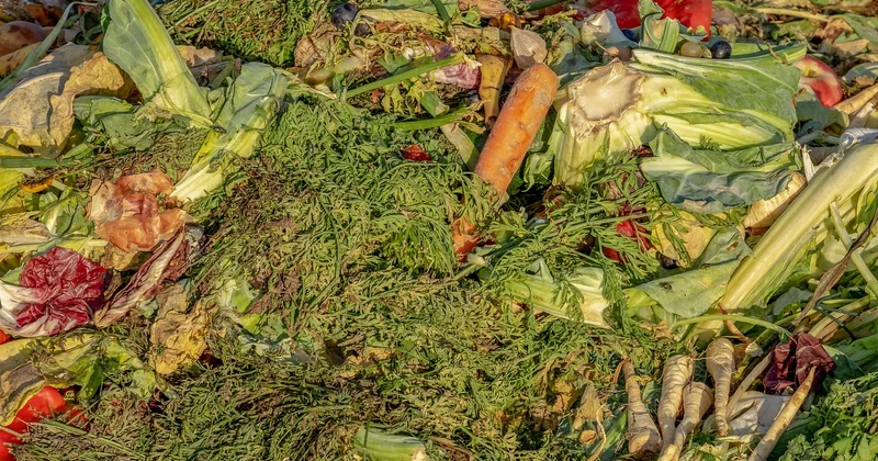 Pas de jardin ? Recycler quand même, sans potager