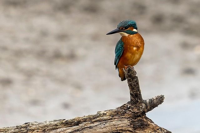 Habitat écologique : les tendances à suivre pour un chez-soi durable
