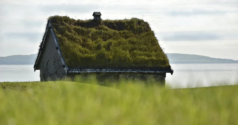 Les solutions à privilégier selon votre climat