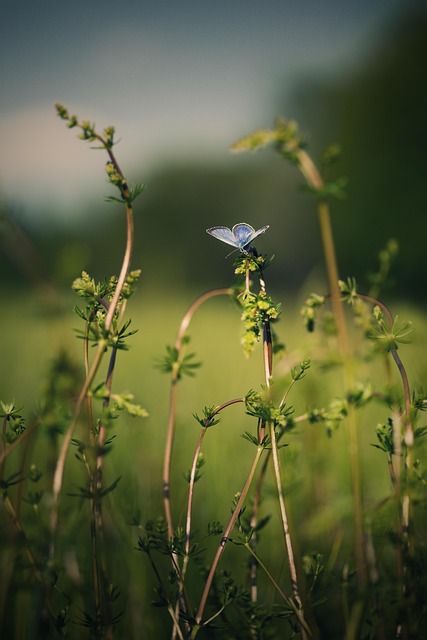 Habitat écologique : les innovations qui révolutionnent notre façon de vivre