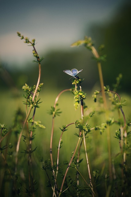 Habitat écologique : les innovations qui révolutionnent notre façon de vivre