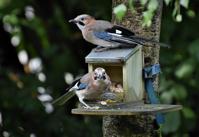 Habitat écologique : les matériaux à privilégier pour votre maison