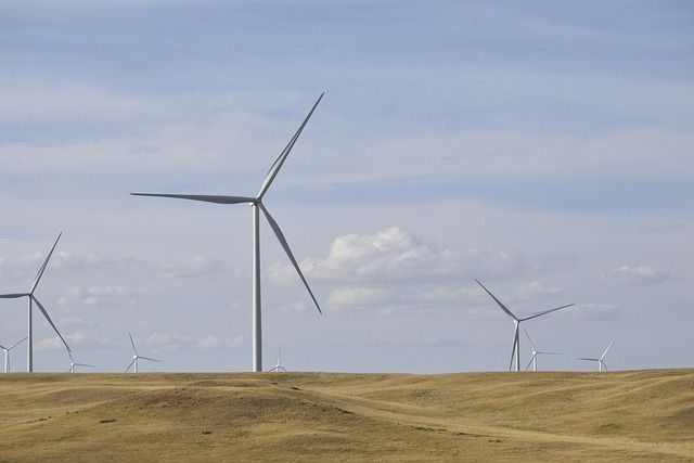 Énergies renouvelables : comment les intégrer dans votre quotidien facilement ?