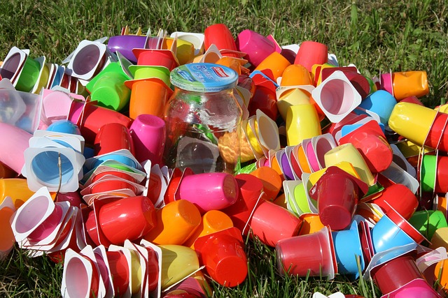 Zéro déchet : les défis à relever pour une société sans plastique