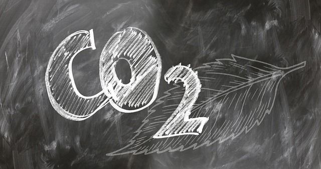 Bilan carbone des entreprises : comment mesurer son impact environnemental ?