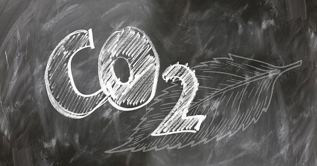 Bilan carbone des entreprises : comment mesurer son impact environnemental ?