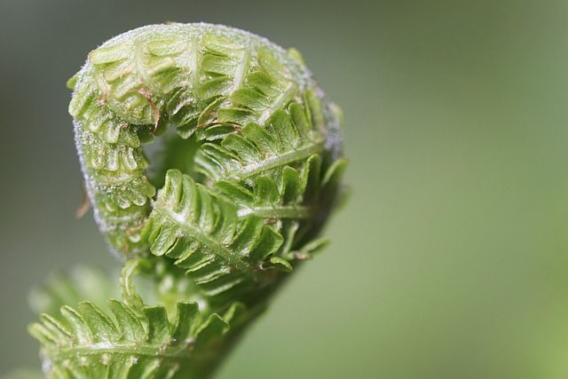 Vers un habitat écologique : astuces pour un quotidien durable et responsable