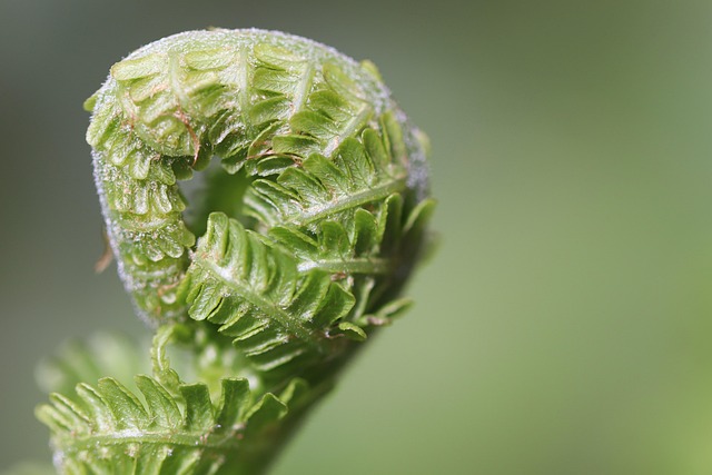 Vers un habitat écologique : astuces pour un quotidien durable et responsable